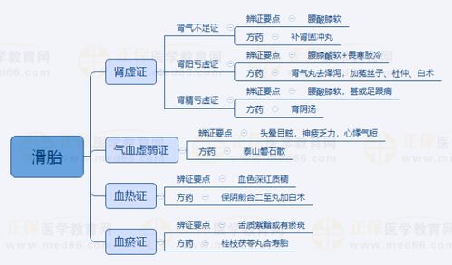 2024中医执业医师考试 中医妇科学“滑胎”重点知识点思维导图详解（含金融外包类比）